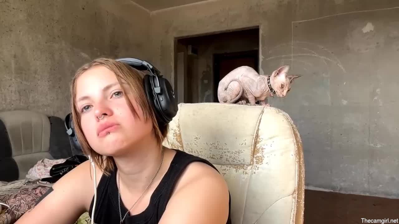 Velvet_twist_drip_meow