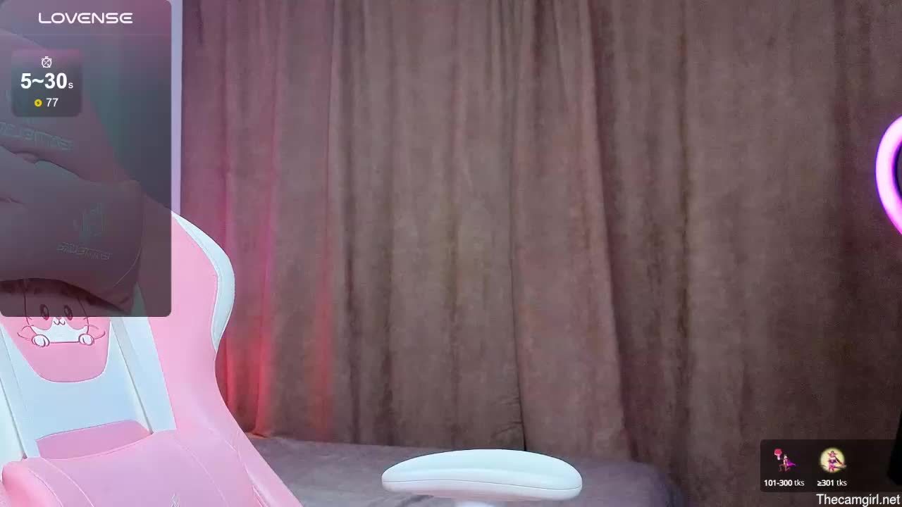 Viola_vi_