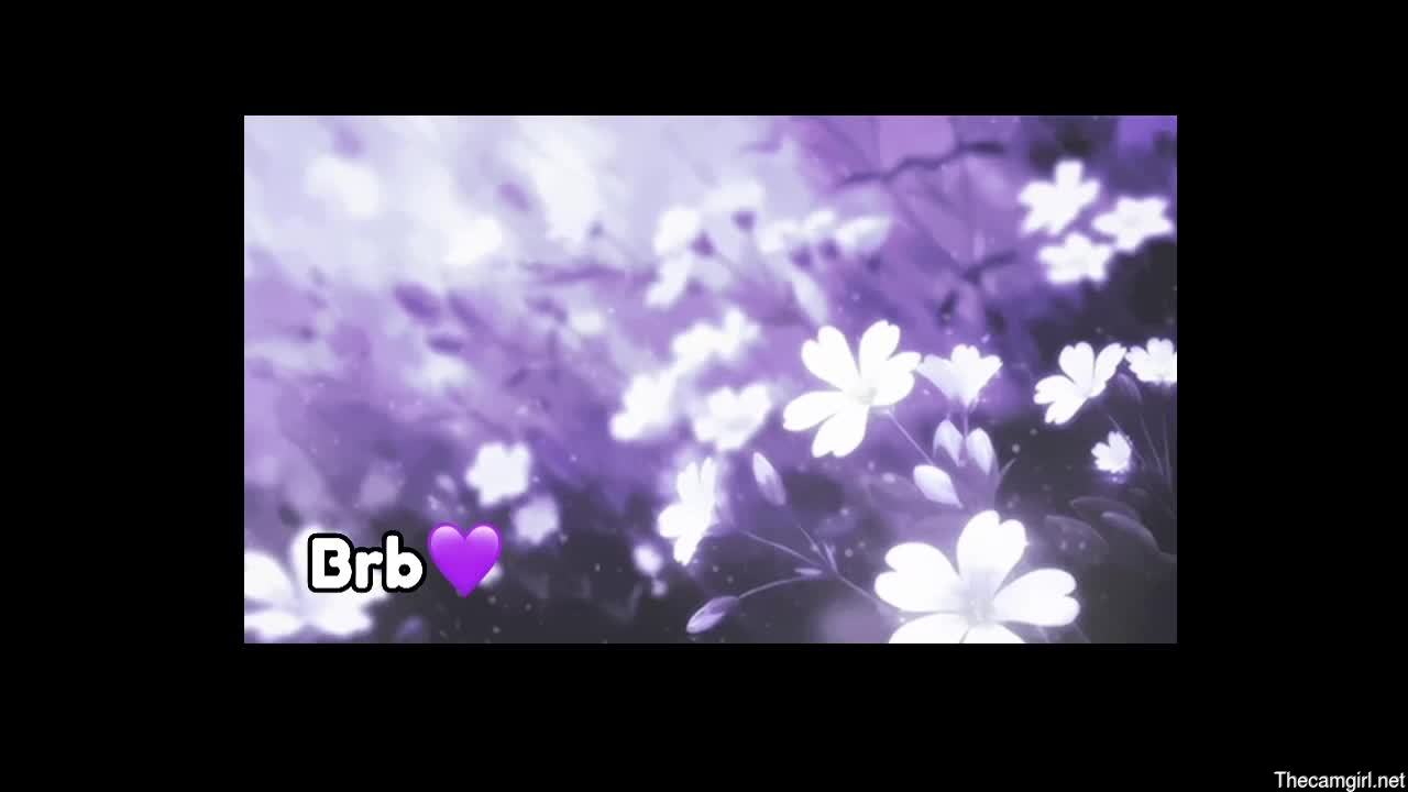 Violeta_milleer
