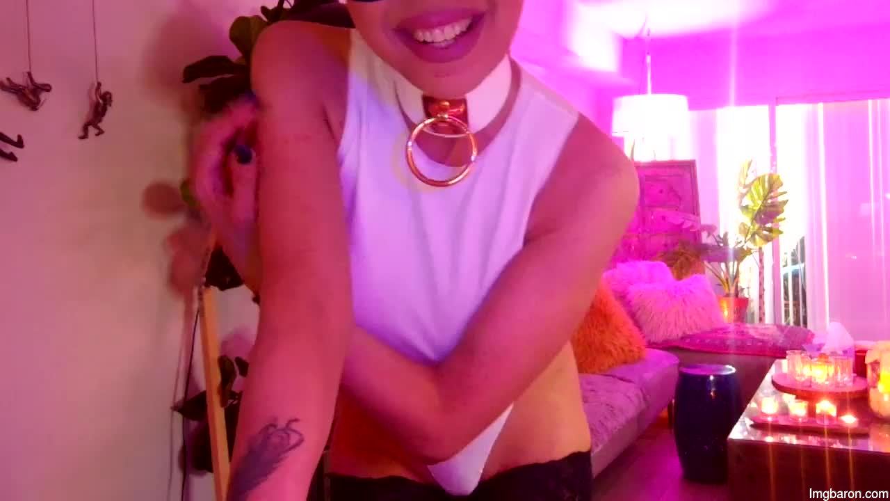 Persianangel