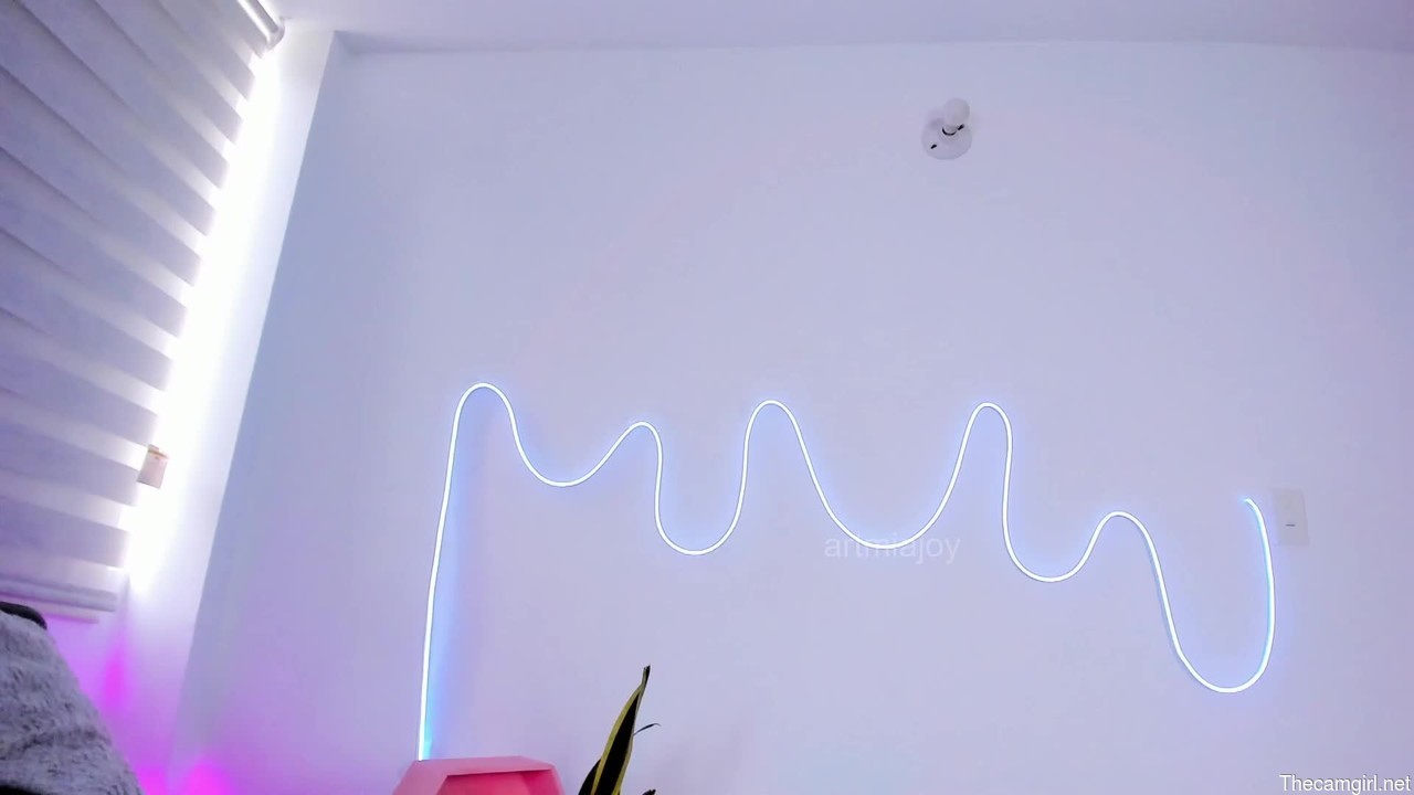 Artmiajoy