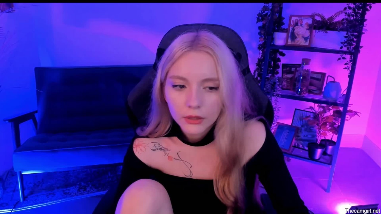 Aurorawrenfield