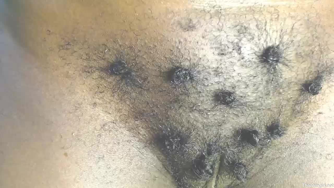 Ebony_choco2