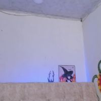 Eva_hillss69