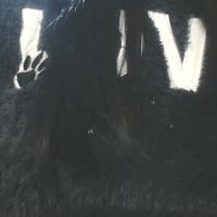 Sahotlove1