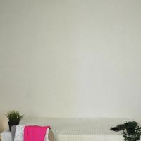 Clementina_fermentina