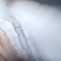 Cyndee_winter