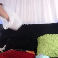 Natalie_collins12