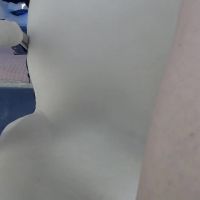 Dakota_morice