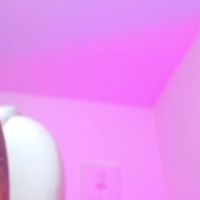 Iam_salomex