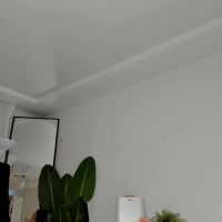 Xxx_leila