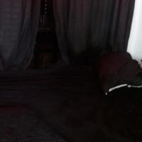 Jessie_wild