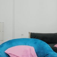 Daisy_abby