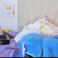 Dolly_cutee