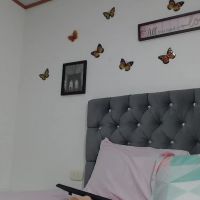 Pinkvalentina