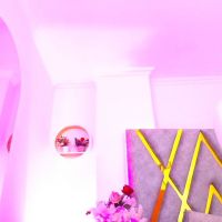 Sophiawalker__