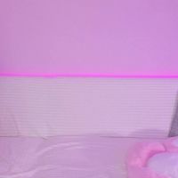 Lissa__fox
