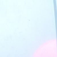 Dakkotta_curvy