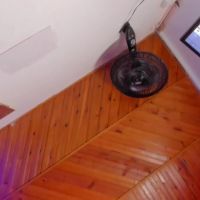 Sammy_scott1