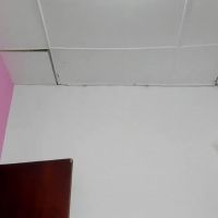 Alanys214