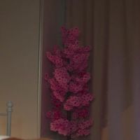 New_purple