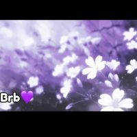 Violeta_milleer