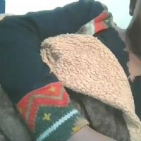 Cilia_petite