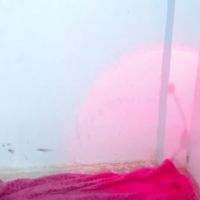 Dakkotta_curvy