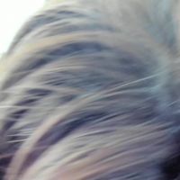 Camixxx_m