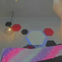 Salomeswet