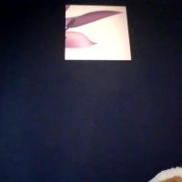 Ckamilla45