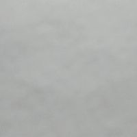 Synop_sis