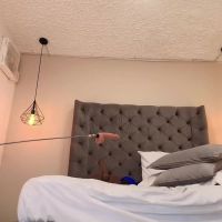 Salome_adams1