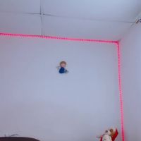 Lucyy__start