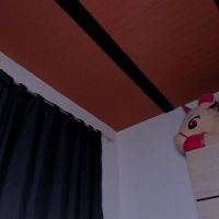 Merlia_model