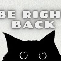 Raycatt