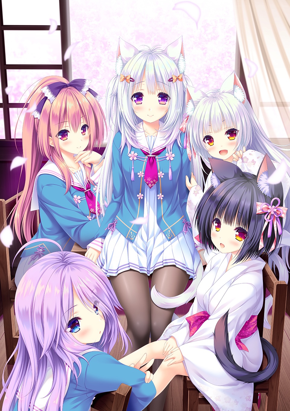 Cover.jpg