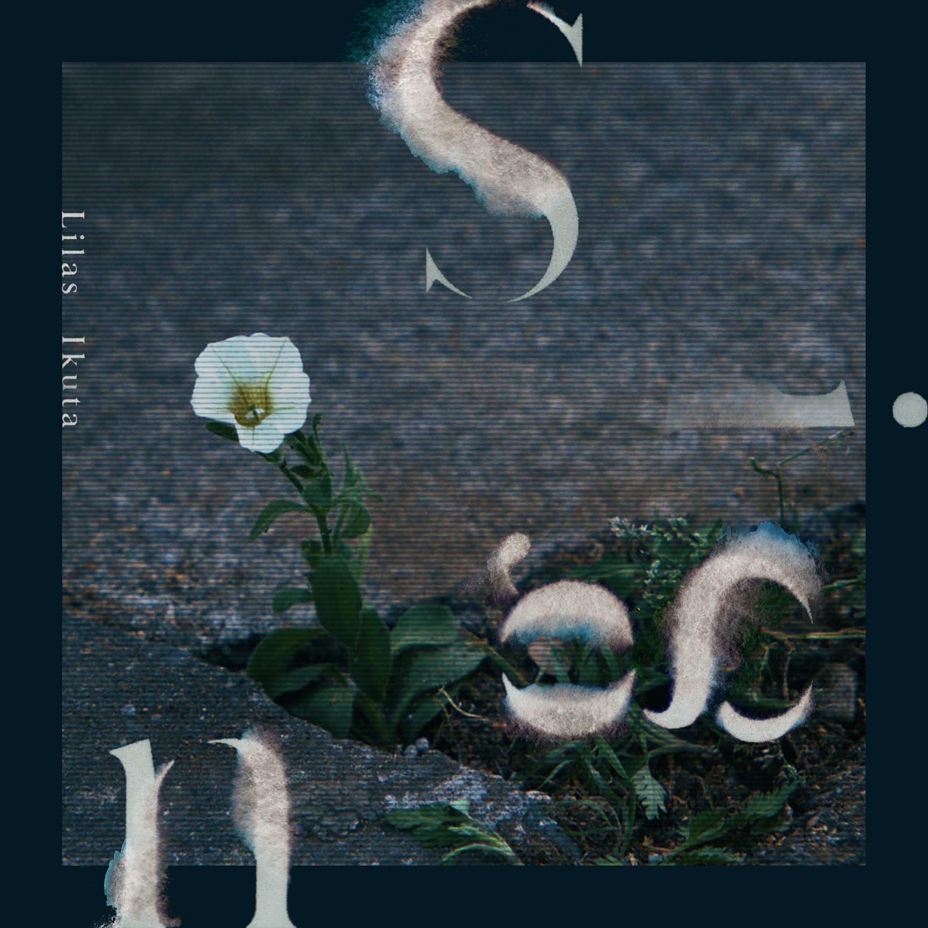 Cover.jpg