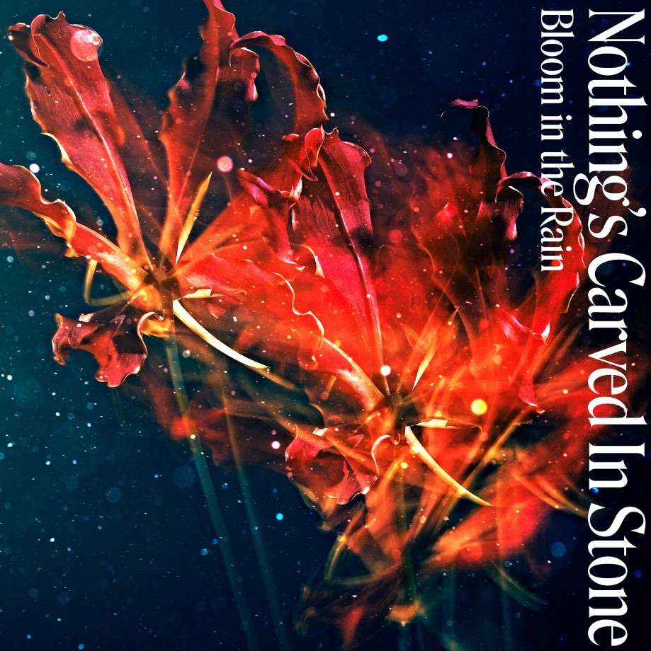 COVER.jpg