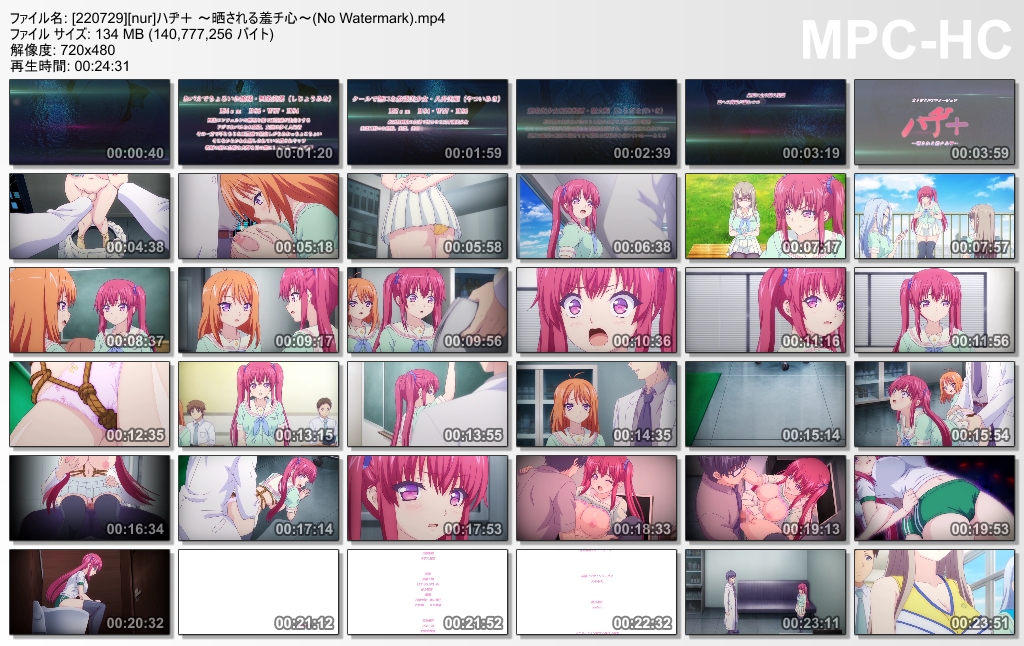 haji01p.jpg