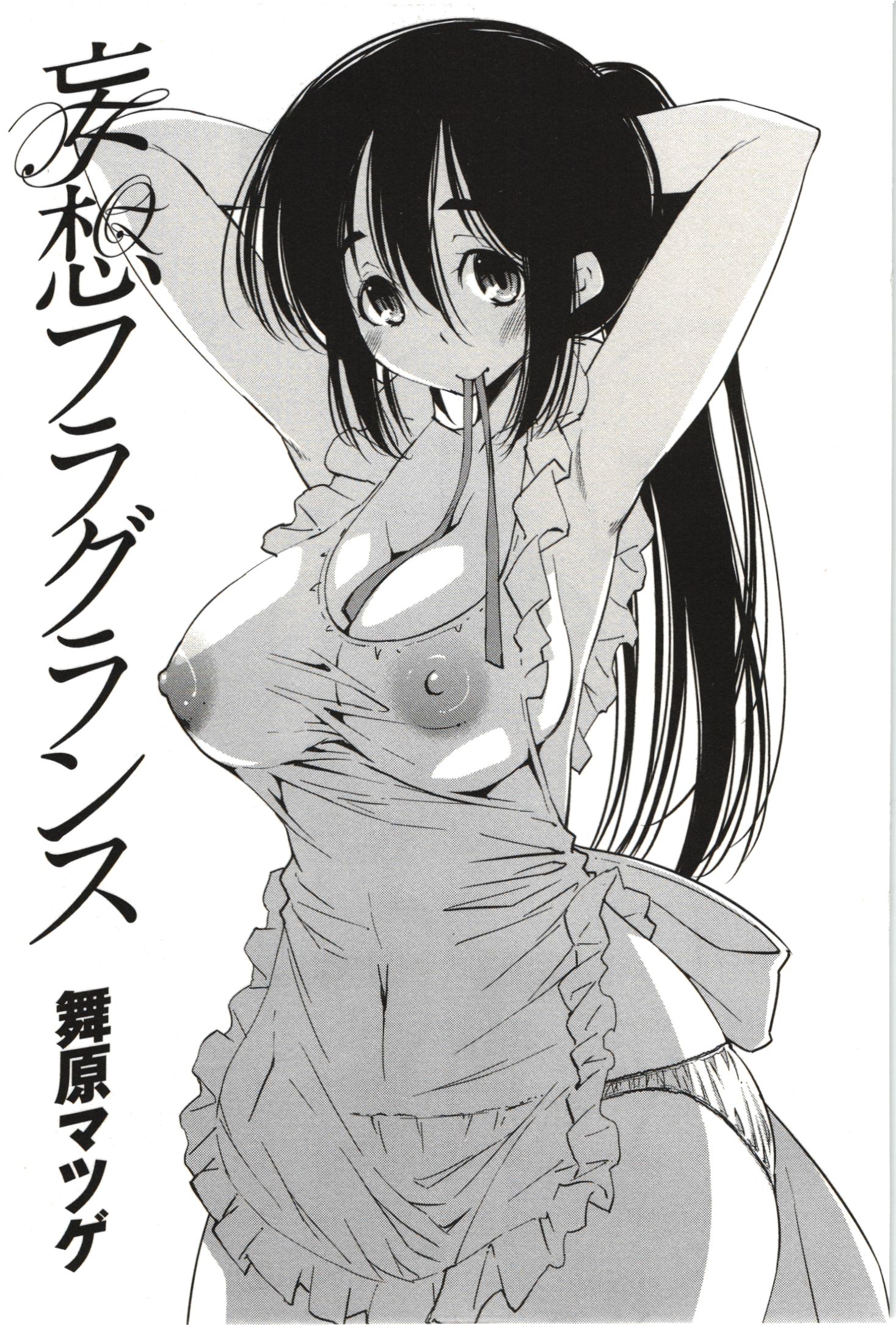 Mousou001.jpg