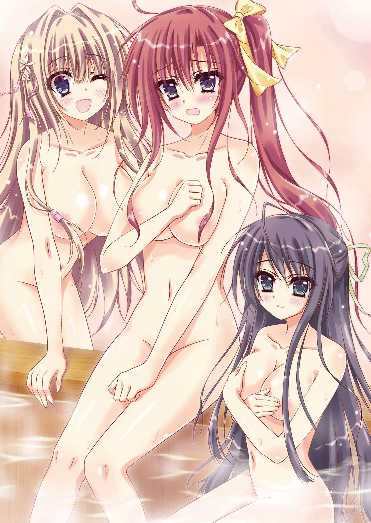 2db285_002_colorillust.jpg
