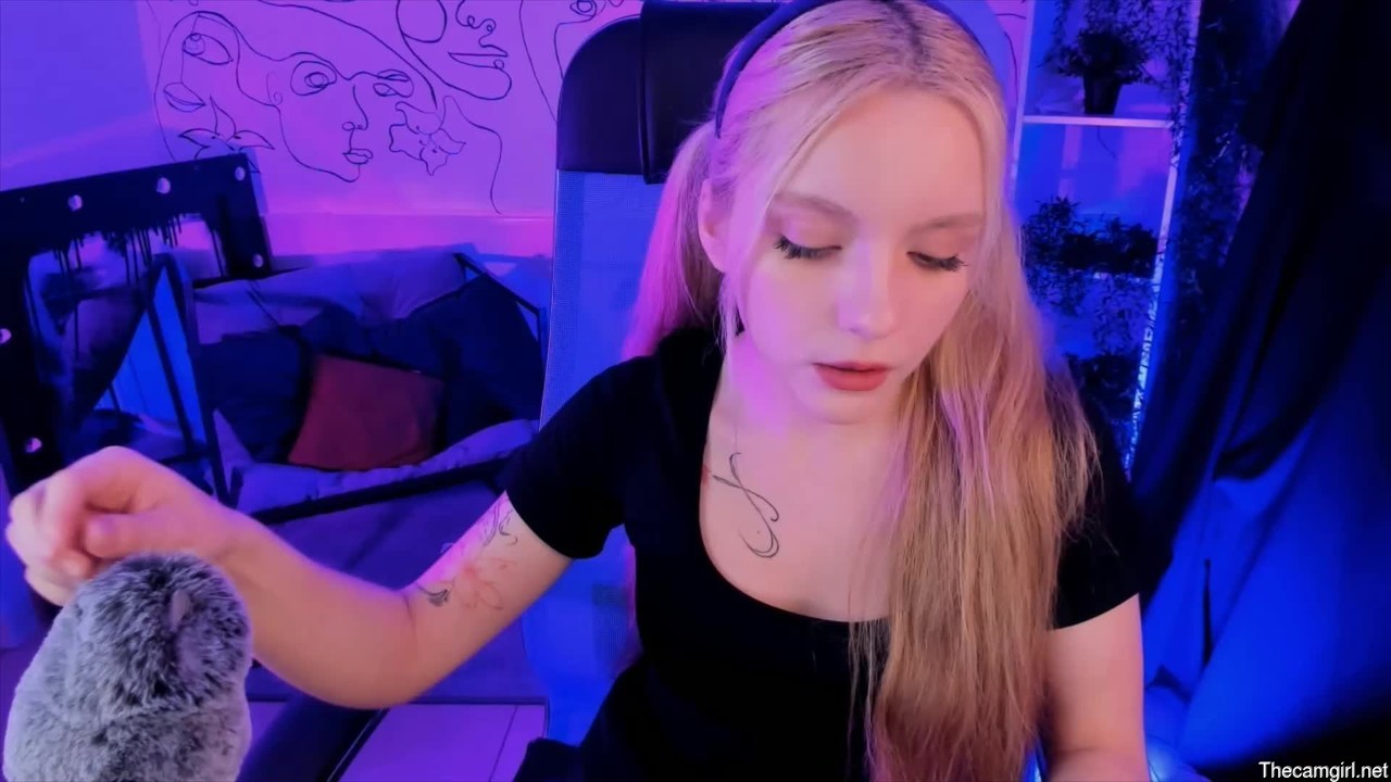 Aurorawrenfield