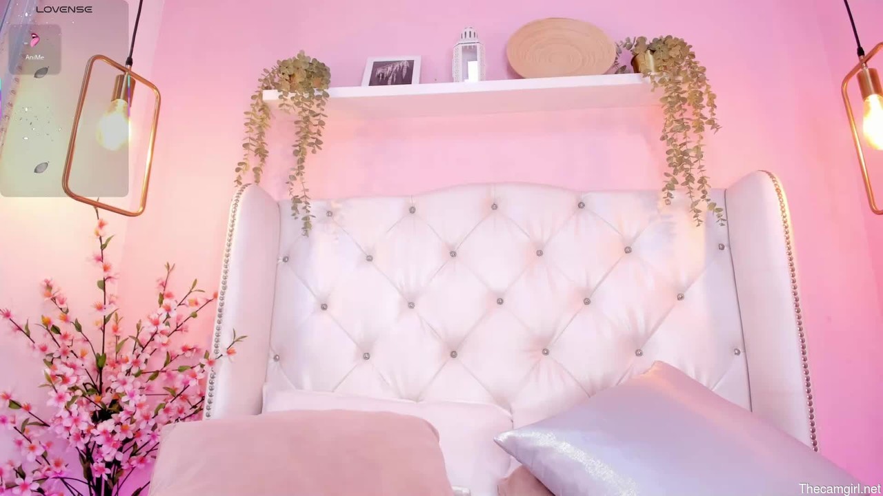 Beellafox_