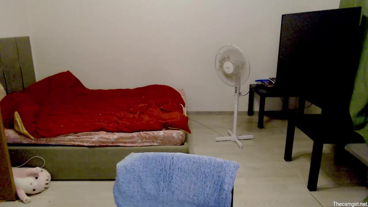 Kitten_jenny01