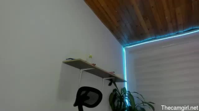 Alana_collinss